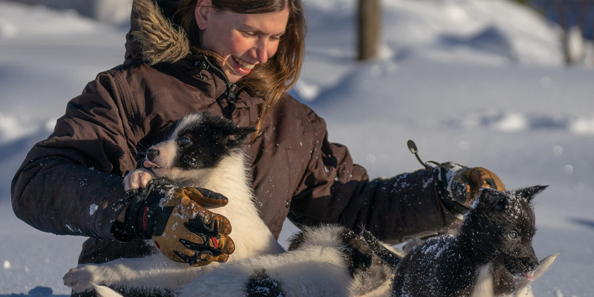 Yvonne playing happily in the snow with at least three little huskies.