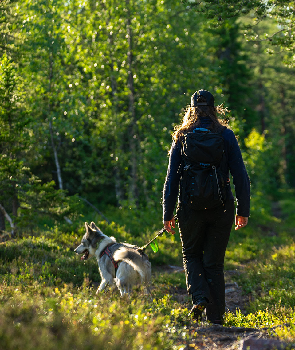 Yvonne from behind as she walks through a forest with a husky on a belly strap in front of her.