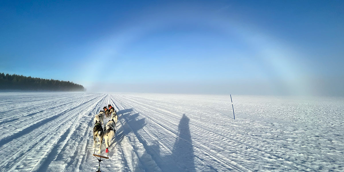 Six huskies pulling a sled under a clear blue sky, on a wide frozen track across a frozen lake.