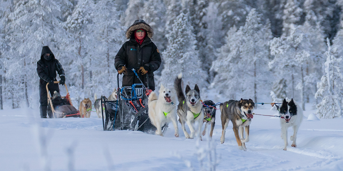 Yvonne standing on a sled, which in turn is pulled by five huskies past trees through a snow-covered landscape, with two other people in the background who are also standing and sitting on a sled.
