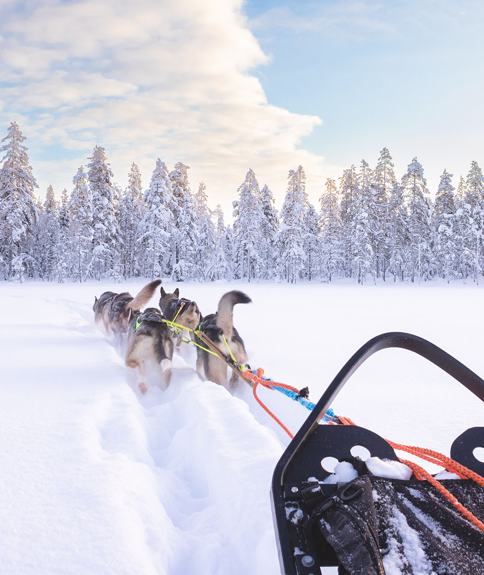 Five huskies from behind pulling a sled through deep snow towards snow-covered trees under a blue sky half covered with clouds.