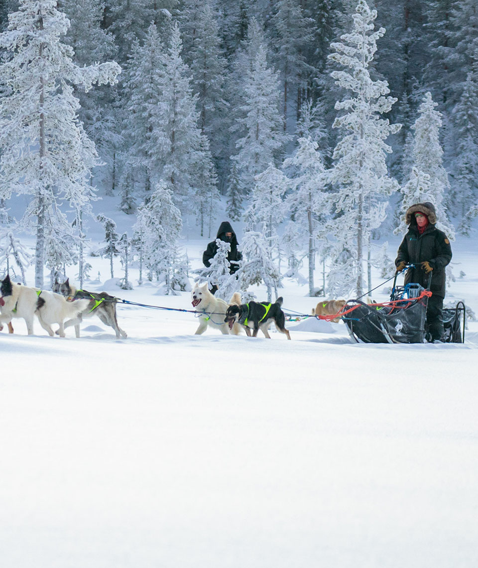 Yvonne standing on a sled, which in turn is pulled by at least four huskies past trees through a snow-covered landscape, with another person in the background also standing on a sled.